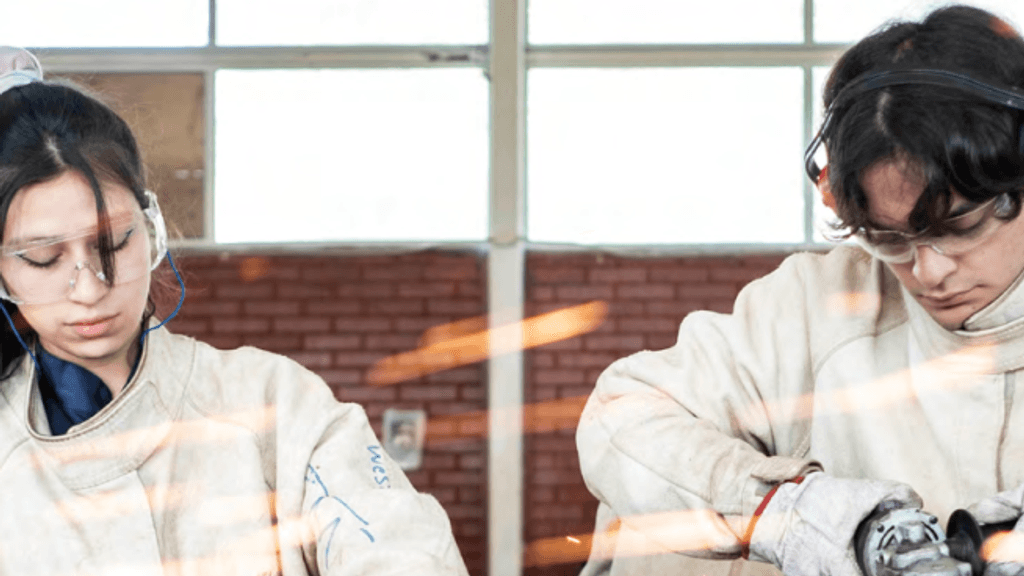 Estrategia Tecnico profesional Estrategia Tecnico profesional