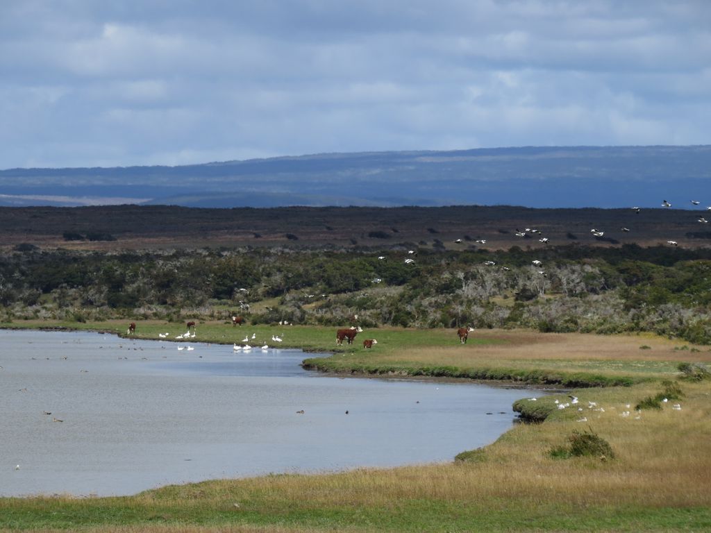 Vista de la Laguna Cabo Negro que está dentro del área de influencia del proyecto Vista de la Laguna Cabo Negro que está dentro del área de influencia del proyecto