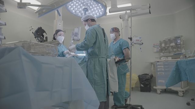 hcmprocedimientos hcmprocedimientos