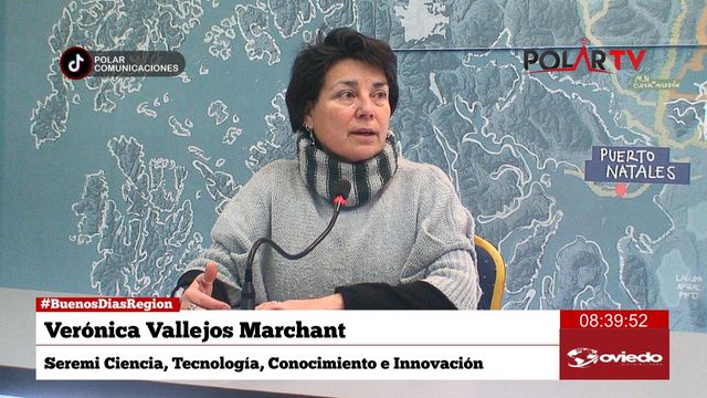 seremictci seremictci