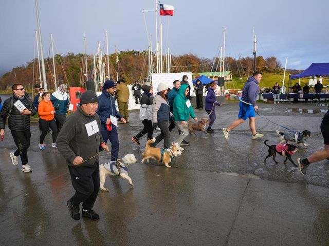 corridawilliamscarabineros corridawilliamscarabineros