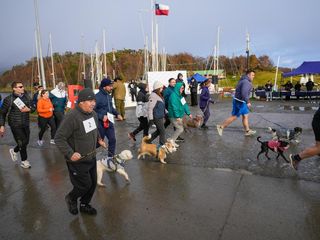 corridawilliamscarabineros corridawilliamscarabineros