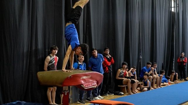 V CAMPEONATO MUNICIPAL DE GIMNASIA ARTÍSTICA (8)