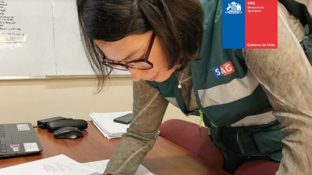 Nuevo sistema Sag Nuevo sistema Sag