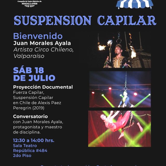 Gráfica suspensión capilar