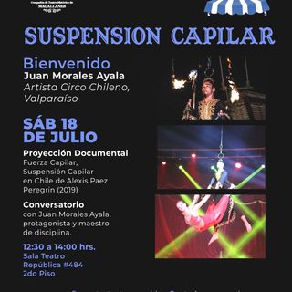 Gráfica suspensión capilar