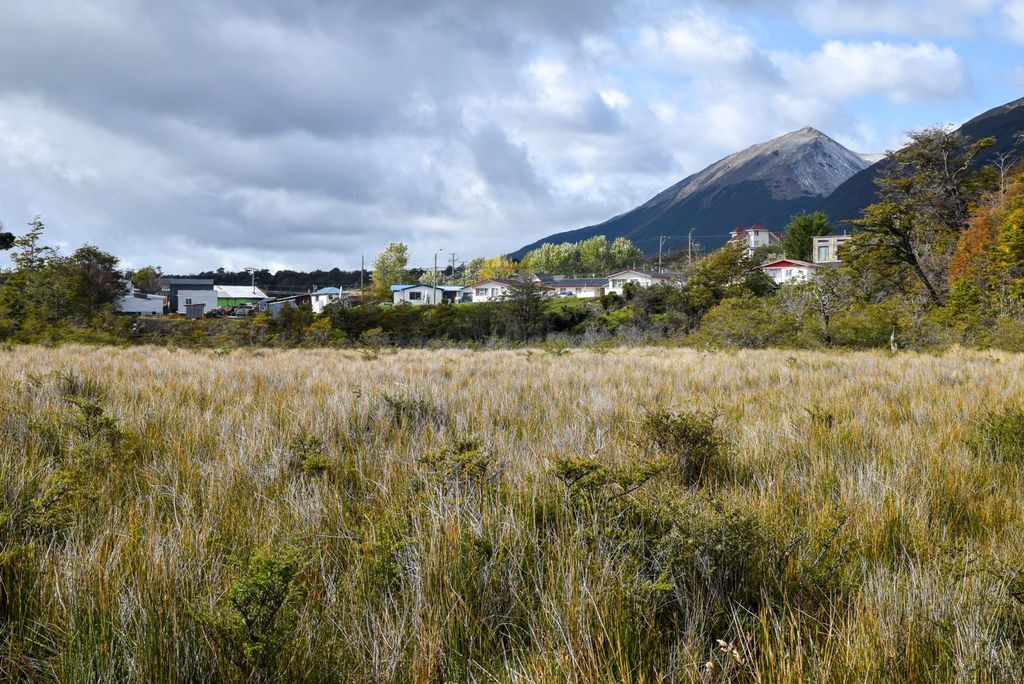 PHOTO-2024-03-15-20-12-14 PHOTO-2024-03-15-20-12-14