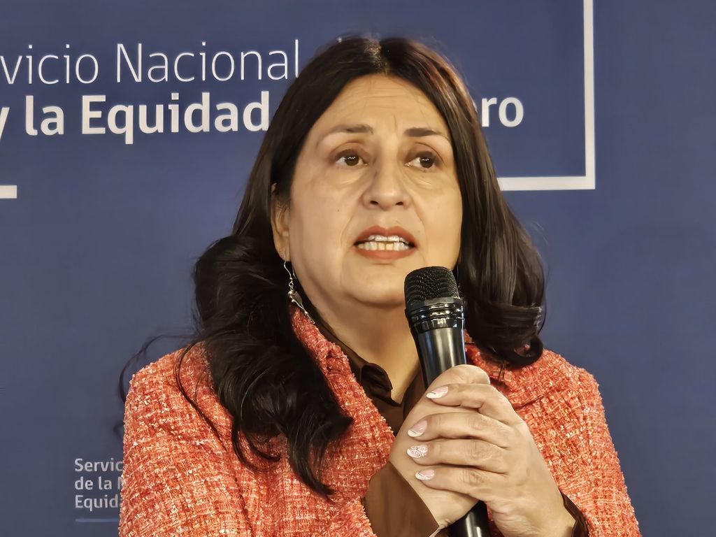 SEREMI Alejandra Ruiz Ovando Horizontal SEREMI Alejandra Ruiz Ovando Horizontal