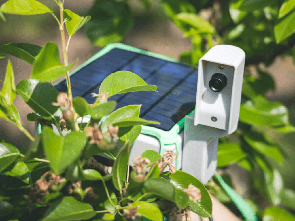 innovación foto OK innovación foto OK