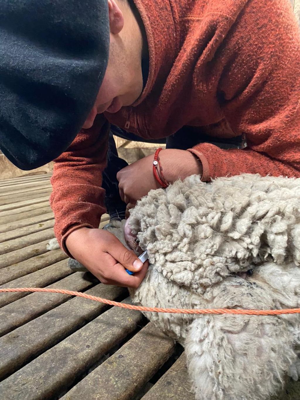 WhatsApp Image 2024-04-06 at 3 WhatsApp Image 2024-04-06 at 3