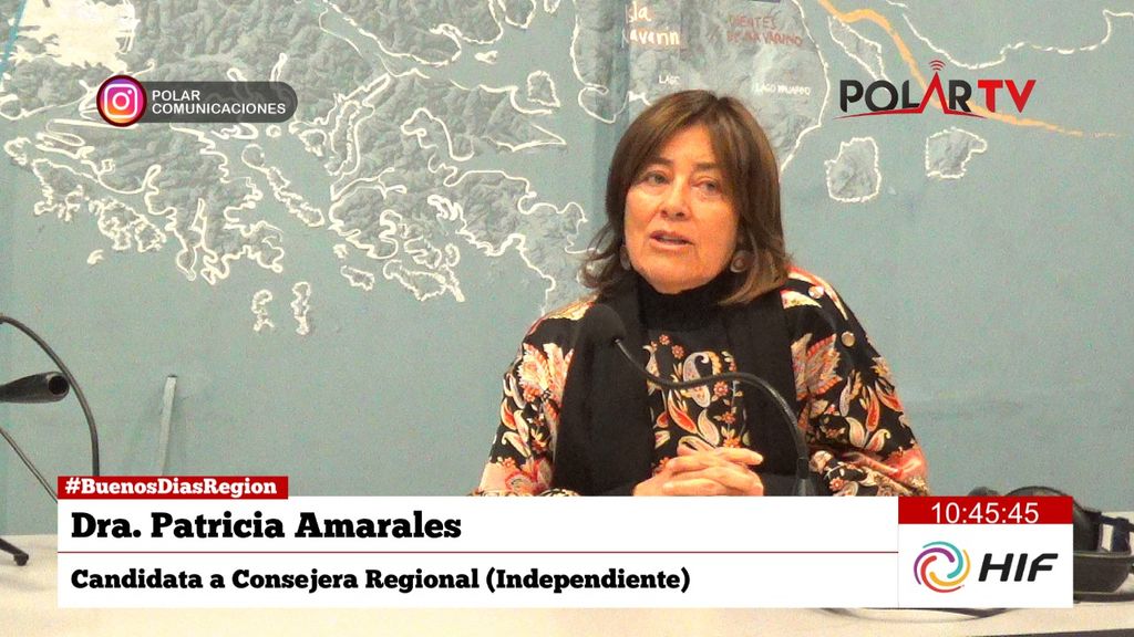 AMARALES AMARALES