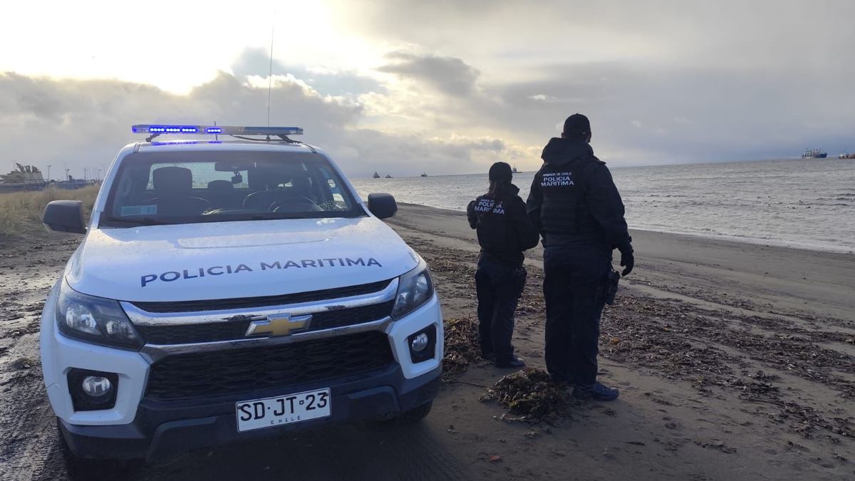 autoridad maritima puq autoridad maritima puq