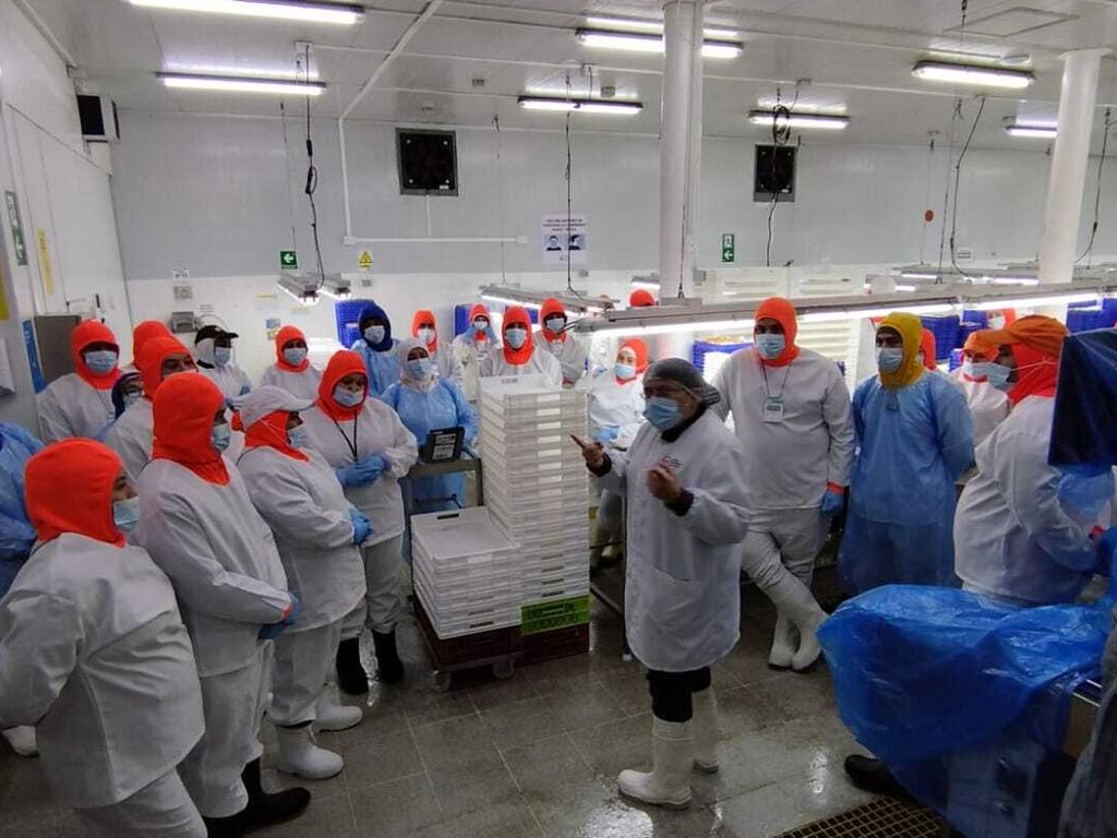 Portada-Magallanes-14 Portada-Magallanes-14