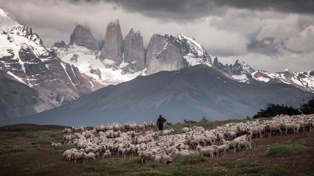 hystmagallanes hystmagallanes