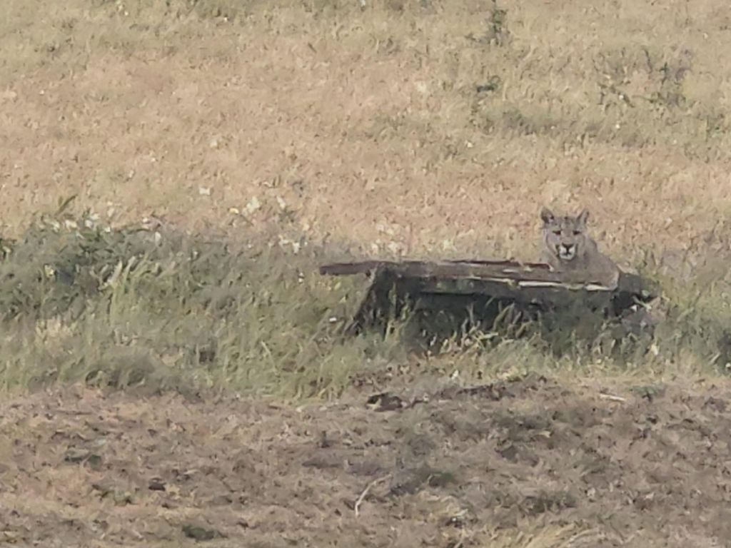 IMG-20241210-WA0009 IMG-20241210-WA0009