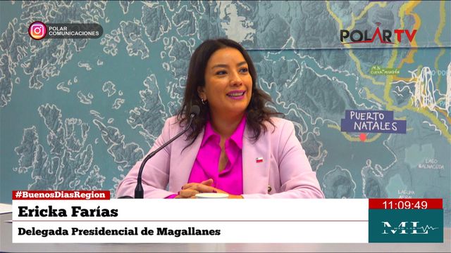 dppmagallanes dppmagallanes