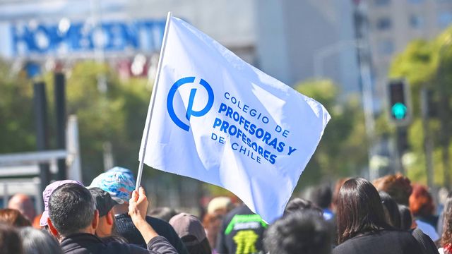 colegio de profesores