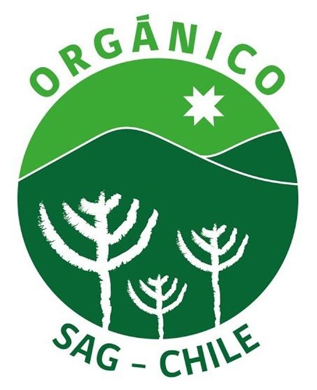 logo SAG organico (455x559) logo SAG organico (455x559)