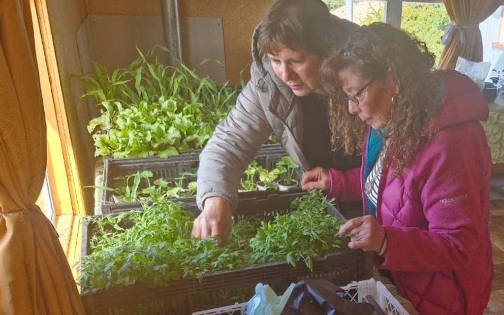 467721714_974106414755071_508070749927380248_n 467721714_974106414755071_508070749927380248_n