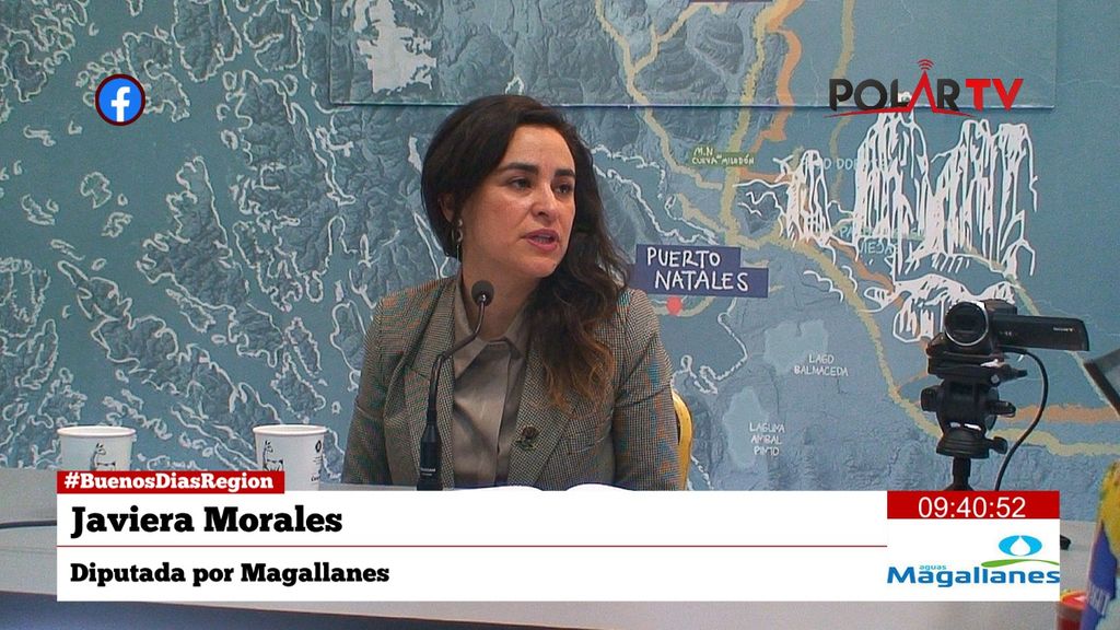 diputadamorales diputadamorales