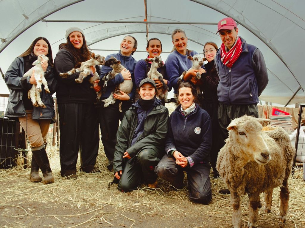 Grupo de uruguayos Grupo de uruguayos