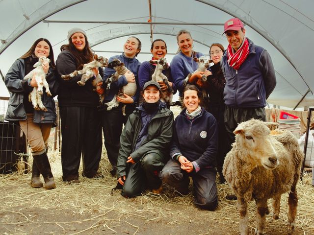 Grupo de uruguayos Grupo de uruguayos