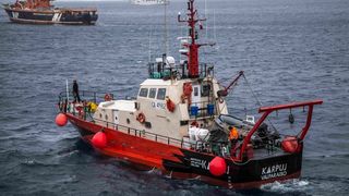 Karpuj-en-baja-calidad-1024x683
