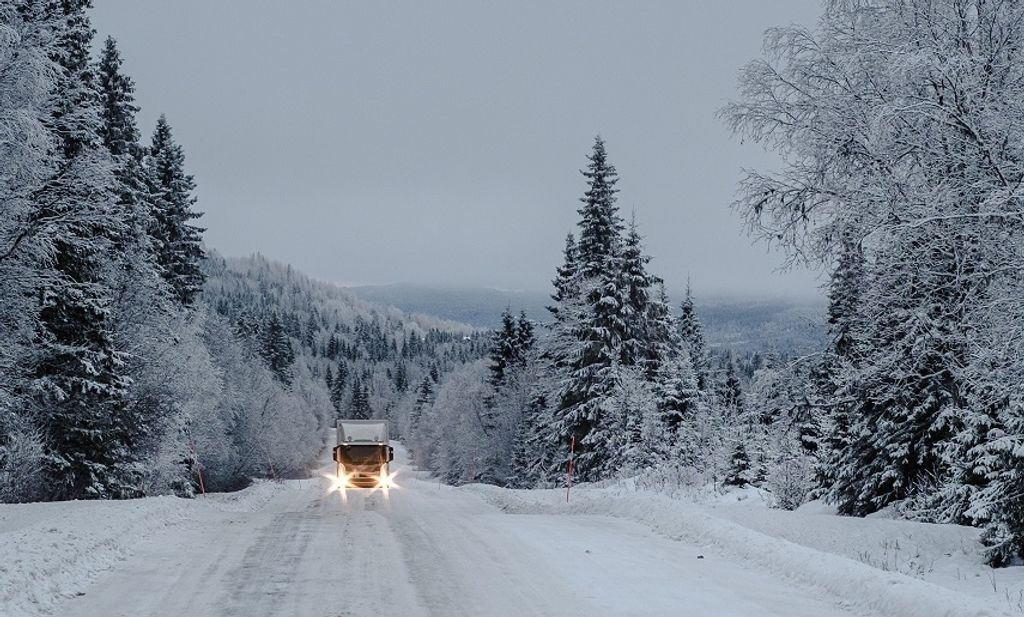 camino-en-un-bosque-cubierto-de-nieve-con-un-camion-y-arboles