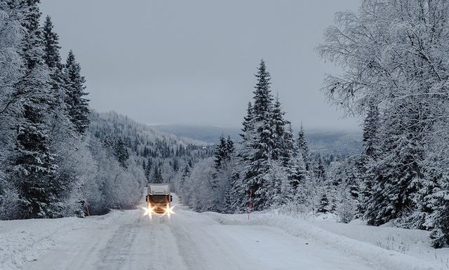 camino-en-un-bosque-cubierto-de-nieve-con-un-camion-y-arboles