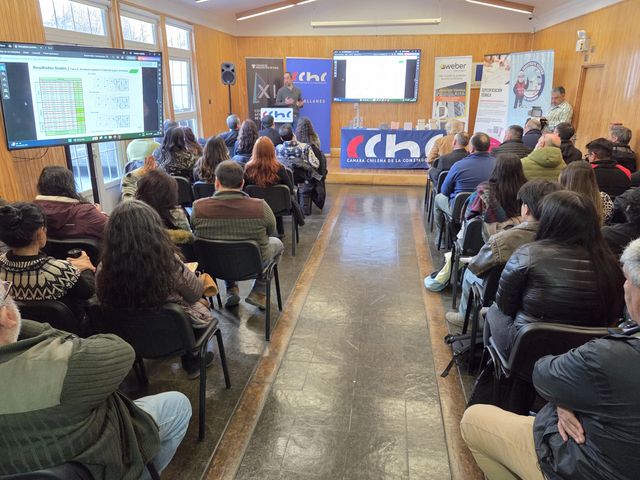 Seminario Térmico CChC (56)