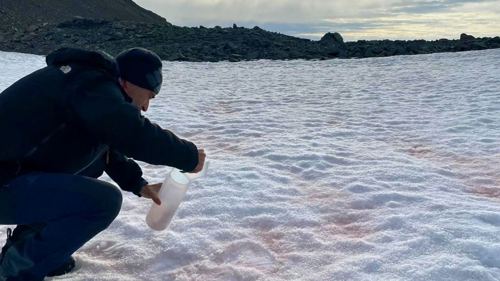 nieve-rosa nieve-rosa