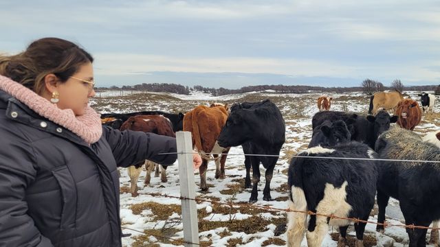 seremiminagriwebinar seremiminagriwebinar