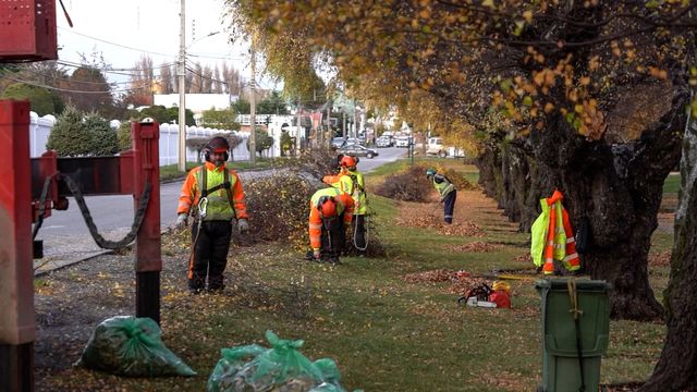PUNTA ARENAS EN LÍNEA (5)