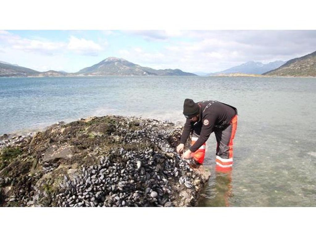 CIENTÍFICOS REALIZARÁN INÉDITO ESTUDIO DE “MAREA ROJA” EN LA PATAGONIA