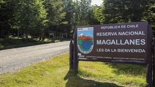 reserva-magallanes