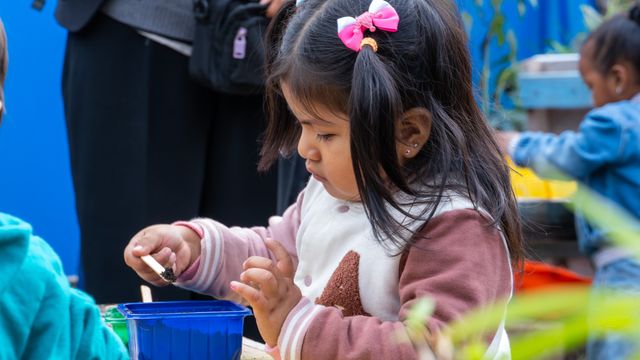 DÍA DE LA EDUCACION AMBIENTAL