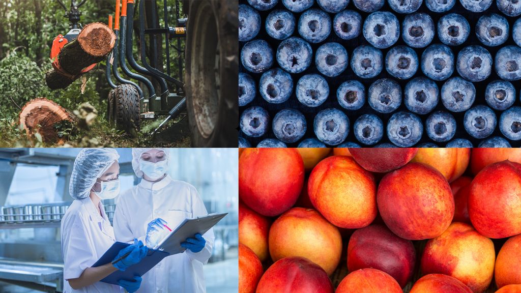 report-january-2026 report-january-2026