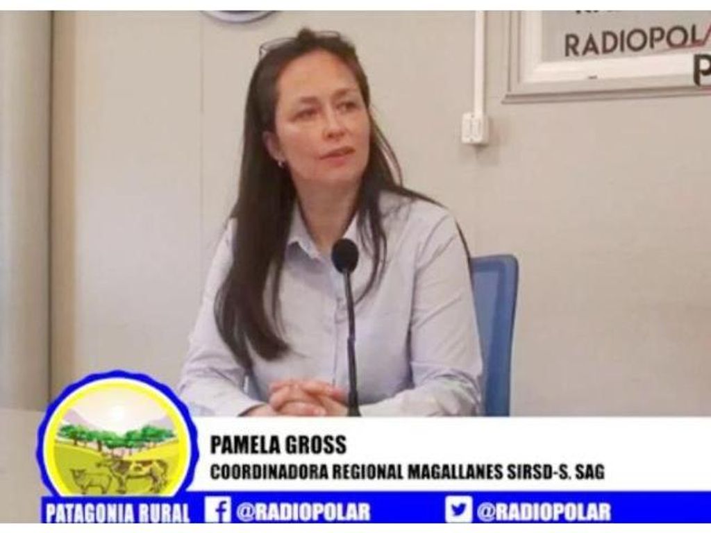 COORDINADORA DEL PROGRAMA SIRSD-S DA A CONOCER LAS BASES PARA ESTE CONCURSO COORDINADORA DEL PROGRAMA SIRSD-S DA A CONOCER LAS BASES PARA ESTE CONCURSO