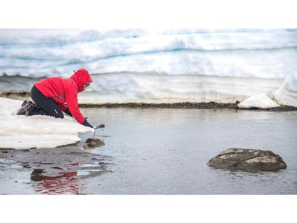 PRESENTAN RESULTADOS DEL XXV CONCURSO NACIONAL DE PROYECTOS DE INVESTIGACIÓN CIENTÍFICA Y TECNOLÓGICA ANTÁRTICA PRESENTAN RESULTADOS DEL XXV CONCURSO NACIONAL DE PROYECTOS DE INVESTIGACIÓN CIENTÍFICA Y TECNOLÓGICA ANTÁRTICA
