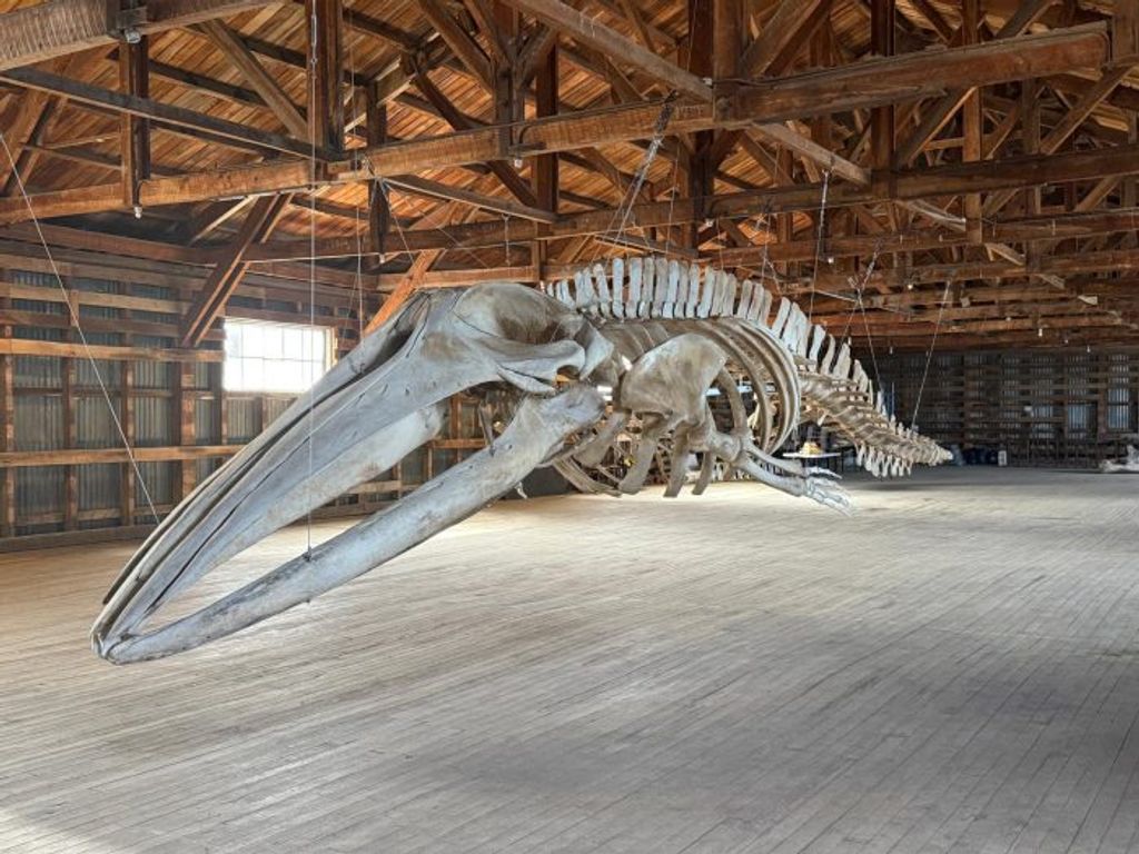 museorioseco-700x525 museorioseco-700x525