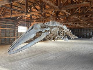 museorioseco-700x525 museorioseco-700x525