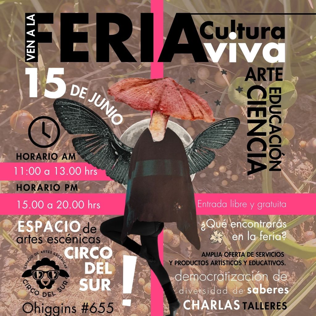 Afiche Feria Cultura Viva Afiche Feria Cultura Viva