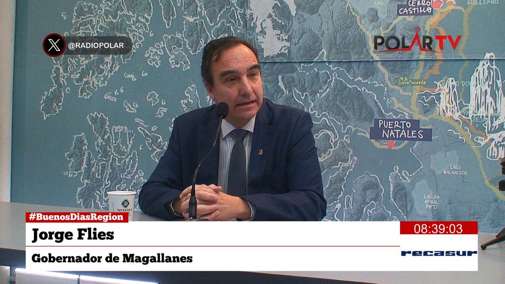 gobernadorflies gobernadorflies