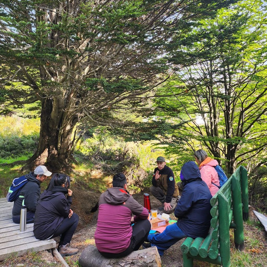 Baño de naturaleza en Reserva Magallanes para trabajadores de Fonasa Baño de naturaleza en Reserva Magallanes para trabajadores de Fonasa