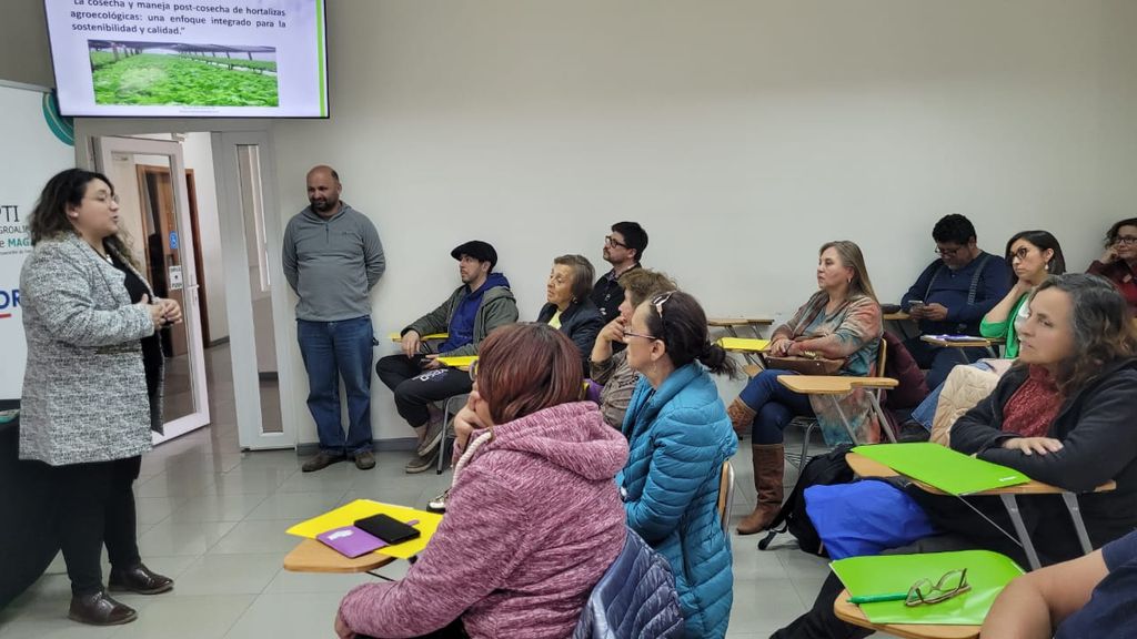 WhatsApp Image 2024-12-05 at 18 WhatsApp Image 2024-12-05 at 18