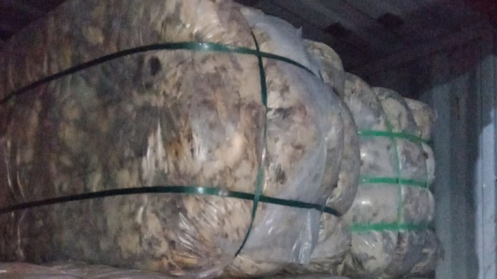 wool---india-2-(1)