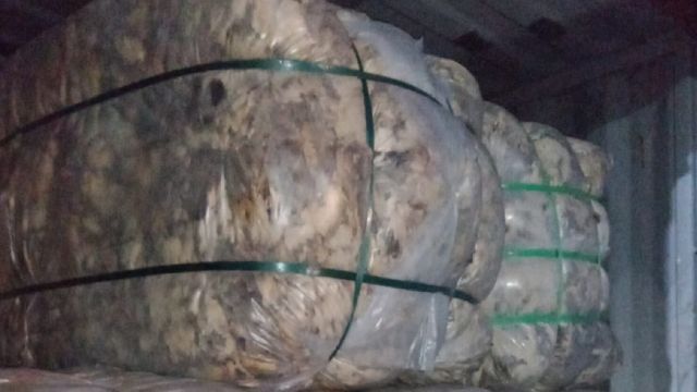 wool---india-2-(1)