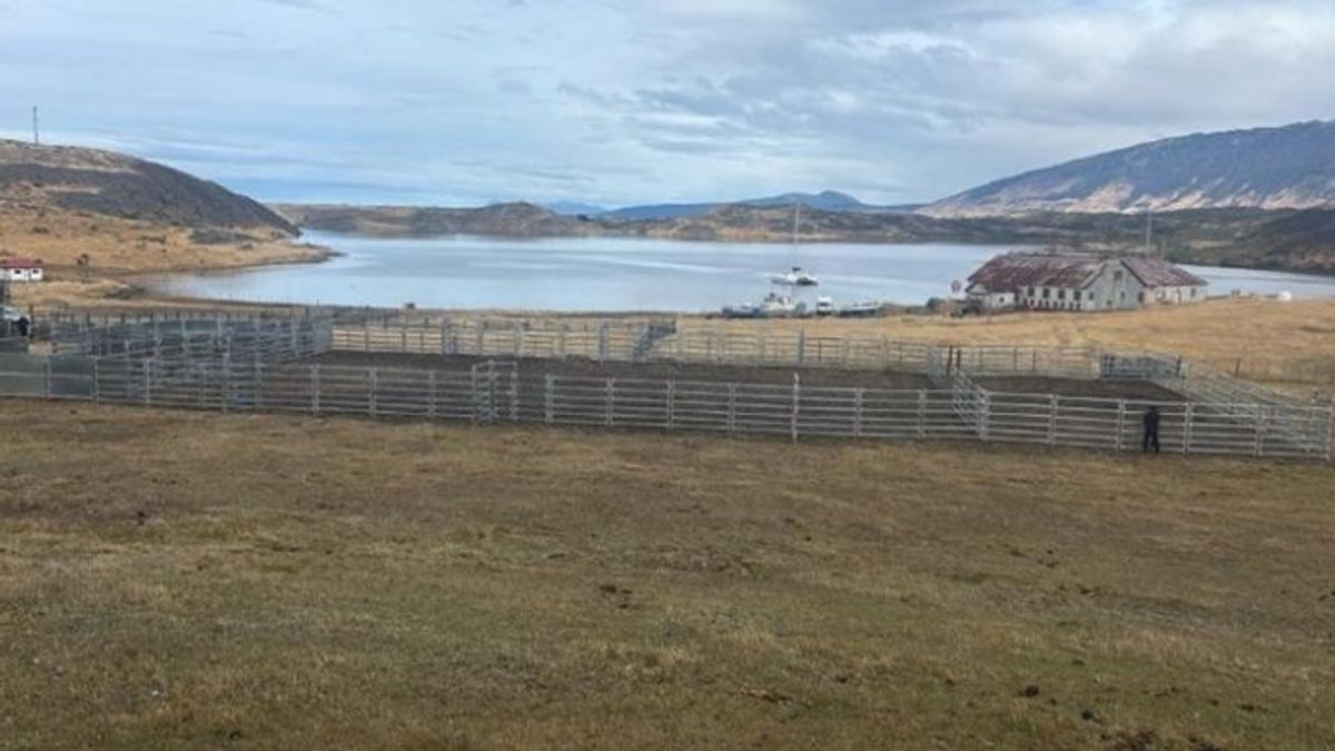 CRIADORES DE MAGALLANES REALIZARÁN SU PRIMERA FECHA DE APARTA DE GANADO ESTE DOMINGO