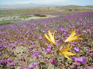 equinoccio equinoccio