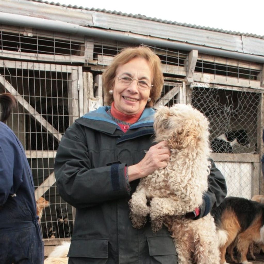 Imagen de WhatsApp 2024-03-20 a las 16 Imagen de WhatsApp 2024-03-20 a las 16